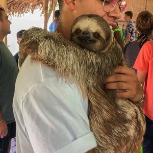 Meet your Posher, Matthew